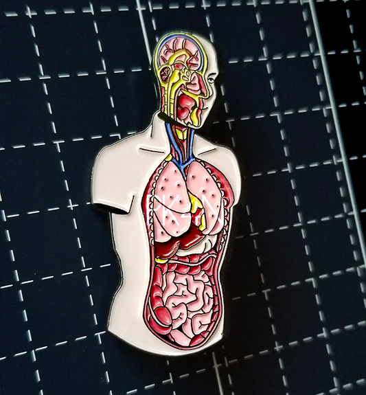 Anatomical Model Enamel Pin
