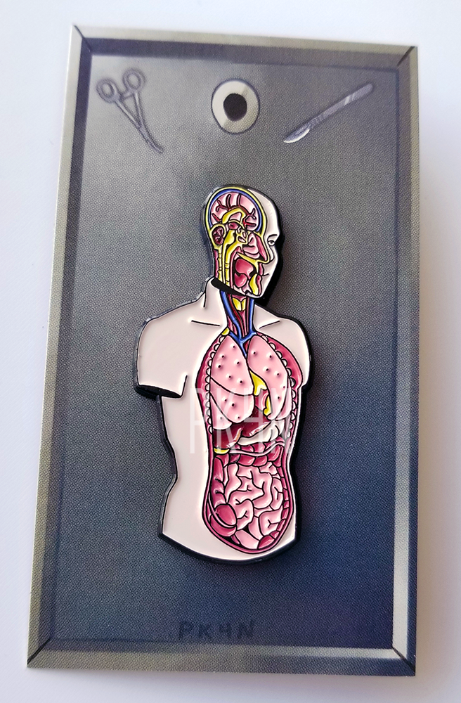 Anatomical Model Enamel Pin